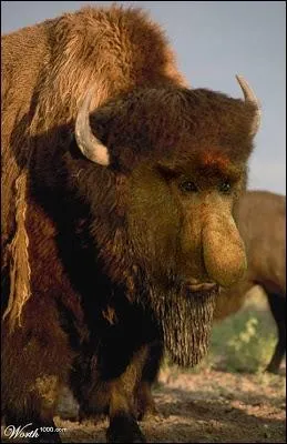 Si vous avez du nez, prouvez-le !