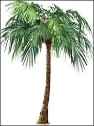 Tous les palmiers, tous les bananiers, vont pousser pareil quand j's'rais parti, et Ca ne vaut pas la peine de quitter ceux qu'on aime pour aller faire tourner un ballon sur son nez...