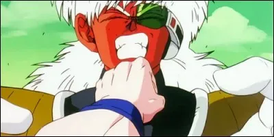 Comment s'appelle ce membre du comandant Ginue ?