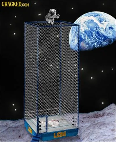 Bien sr que vous pouvez tre comme un lion en cage, surtout dans ce sport !