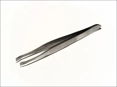 Comment se traduit une  pince � �piler  en anglais ?