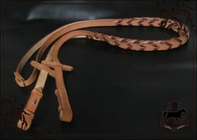 Le nom de la capitale de la Suisse peut s'crire avec les lettres de ce mot qui dsigne une courroie servant  guider les chevaux + une. Laquelle ?