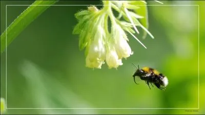 Un roi-mage qui ne vous est pas inconnu, tout en l'tant !