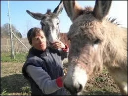 Une complicit, une collusion c'est une ... ...