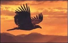 C : Pratique religieuse qui met en relation avec les esprits surnaturels par l'intermédiaire d'un prêtre médium