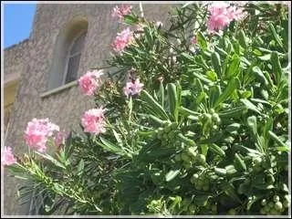 Les (...) ont pâli, Camarades Le jour se lève sur (...)