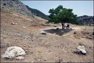 Dure est la (...) et froide la campagne Garde les yeux (...)