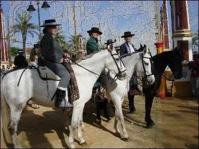 Dans ta voix Galopaient des (...)