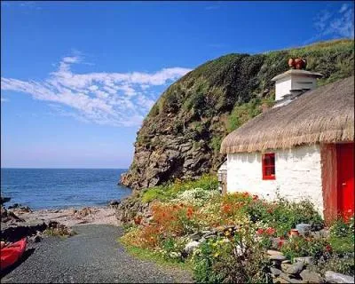 Quelle est la particularit des chats de l'le de Man ?