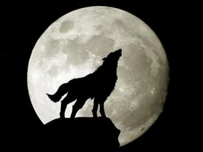 Quadragnaire de Buenos Aires, il aime les langues, les chiens et le fairplay. Francophone et francophile, il excelle en orthographe. Qui pourrait bien choisir cet avatar ?