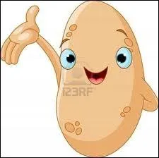 Rosabelle, suis-je une variet de patates ?