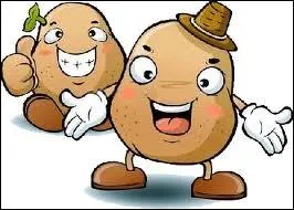 Vittelottes, sommes-nous des variets de patates ?