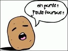 Je suis une coeur de boeuf, fais-je partie de la famille des patates ?