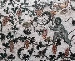 Autre question amplographique. Selon les pays ou les rgions, les cpages portent des noms diffrents. Laquelle de ces propositions n'est pas un synonyme ?