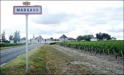 Lequel de ces domaines n'est pas associ au bon village ?