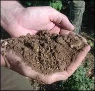 La vrit est dans le terroir, certes... Lequel de ces sols est impropre  la viticulture ?