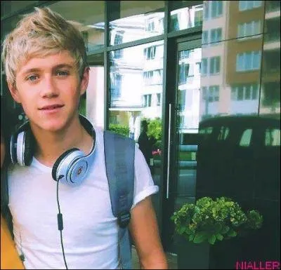 Quel est le jeu prfr de Niall ?