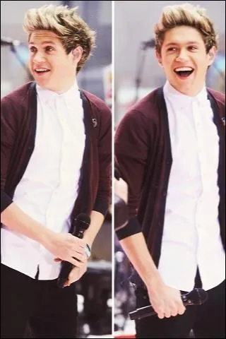 Quelle chanson a crit Niall dans l'album Up All Night ?