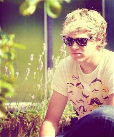 Quelle est la boisson prfre de Niall ?