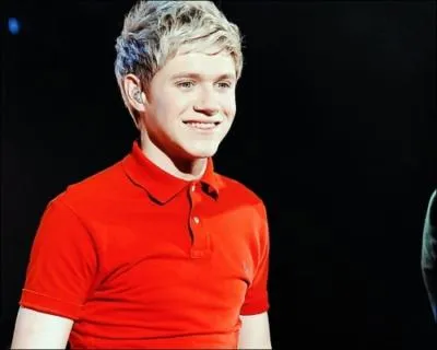 D'o est originaire Niall ?