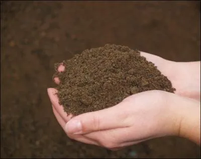 Trouvez, sans provoquer de secousses, la rponse  cette photo !