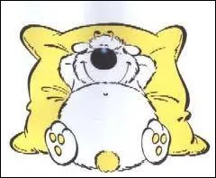 Trouvez l'homonyme :