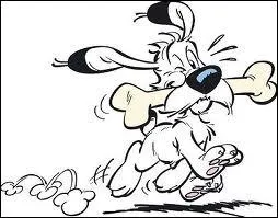 Trouvez l'homonyme de l'image et sa dfinition :