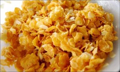 What is the main ingredient of corn flakes ?