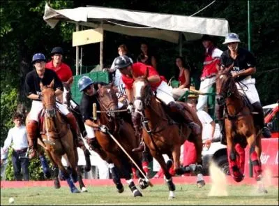 Quel est le sport questre qui consiste  diriger une balle  l'aide d'un maillet  long manche et  la mettre entre deux poteaux servant de buts ? (c'est l'un des plus vieux sports d'quipe)