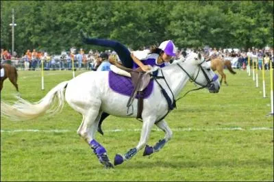 En quelle anne sont apparus les tout premiers pony-games ?