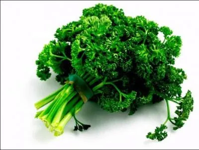 Comment se traduit le  persil  en anglais ?