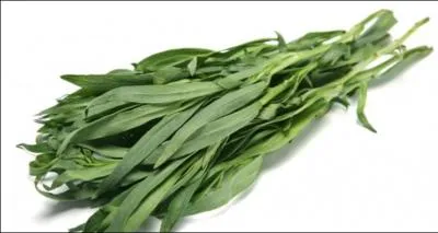 Comment se traduit  estragon  en anglais ?