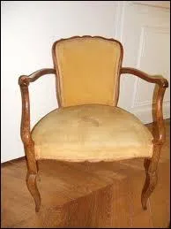 Comment s'appelle ce fauteuil ?
