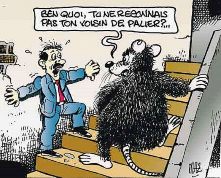 Résultat de recherche d'images pour "le rat humour"