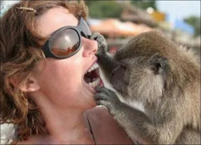 En 1897, William Morrison, dentiste de son tat, invente une machine en partenariat avec son ami John C. Wharton de Nashville au Tennessee. De quelle machine s'agit-il ?