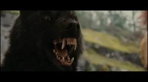 Quel est ce loup ?