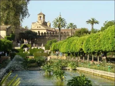 Ne dors pas et restes vigilant