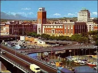 Ils ont des serres et des becs crochus.