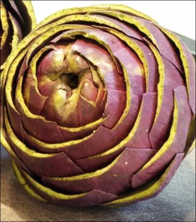 L'artichaut est un lgume subtil et dlicieux, et il est ludique  dguster. Pour agrmenter la chose, on peut le prsenter avec le haut des feuilles coup. L'important est ?