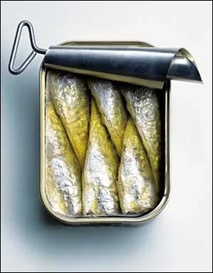 C'est un produit qu'on considre modeste, mais c'est un produit vitamin et tout  fait dlicieux. De plus c'est un joli poisson tout argent ! O vivent les sardines ?