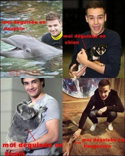  quel ge Liam a-t-il auditionn pour X-Factor ?