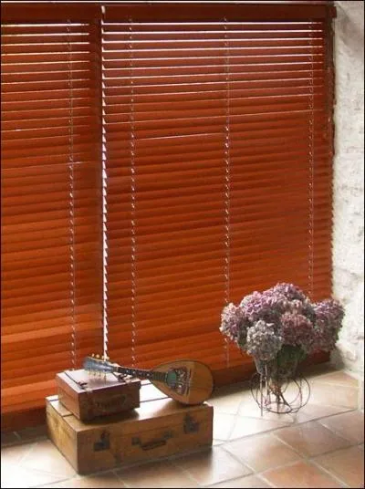 Si vous ajoutez une lettre  l'adjectif qui qualifie ce store, mais aussi l'habitant d'une ville italienne, vous pourrez crire le nom de la capitale du Laos. Laquelle est la bonne ?