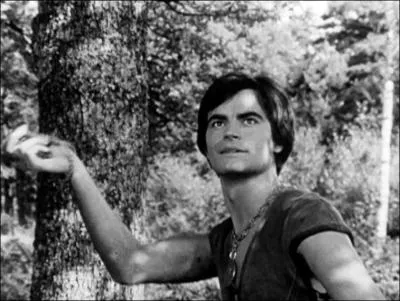 Un jeune seigneur se donne pour mission de rsister aux Anglais, et de dlivrer son roi, avec sa bande de compagnons. Quelle est cette srie tlvise ralise en 1963 avec Jean-Claude Drouot ?