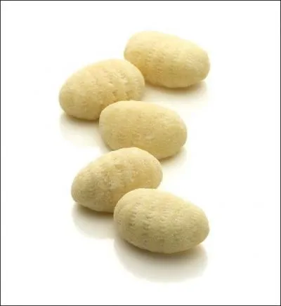 A base de farine et de pommes de terre, mais tout  fait dlectables, ces petits coussins dodus, qu'on peut assimiler aux ptes, sont ?