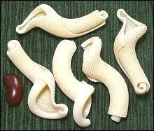 Ces ptes trs artistiques se nomment Fiorentine, ce qui veut dire ?