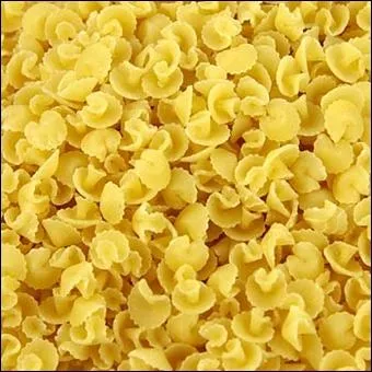 Cette varit de pte s'appelle funghini, ce qui veut dire ?