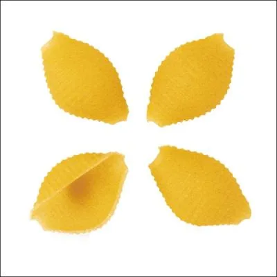 Ces grosses ptes retiennent bien la sauce. Ce sont les Conchiglie, c'est  dire ?