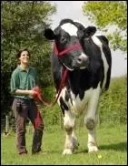 Mais cela ne prouvait qu'une chose, que sans doute, il n'avait jamais t ...