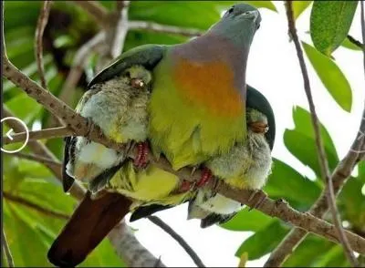 C'tait vrai. Mais mme  cet gard, on l'ennuyait encore. S'il lui arrivait de rester_____________________, si son regard se perdait dans quelque motif de tapisserie, sa fille disait...