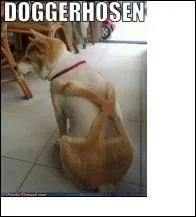 Le jeune homme coutait tout cela avec une immense peine inconnue qui le gnait dans ...